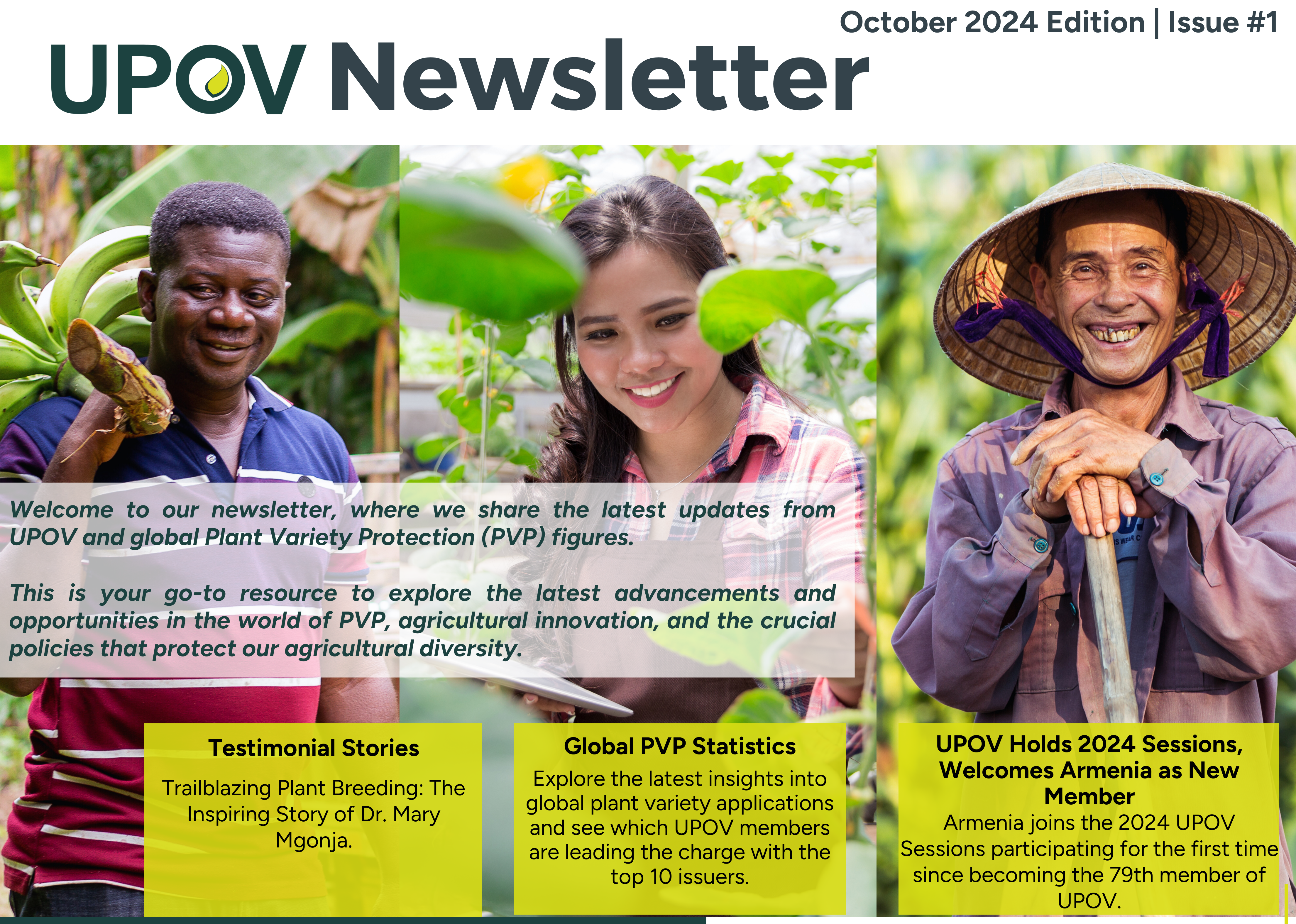 UPOV Newsletter (October 2024)