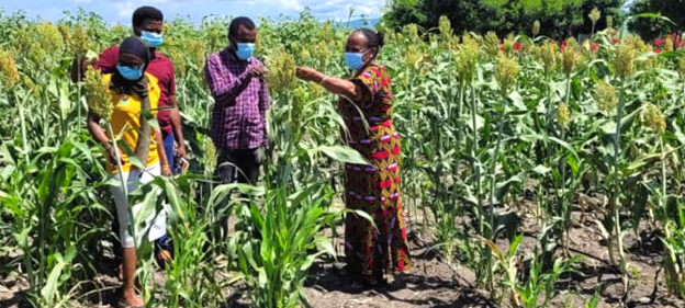 tz-mary-mgonja-farmers.png