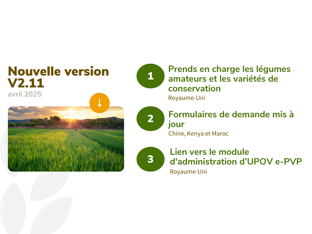 upov-prisma-news-nov-24-cn-fr